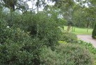 Broomehillresidential-landscaping-35.jpg; ?>