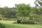 Broomehillresidential-landscaping-40.jpg; ?>
